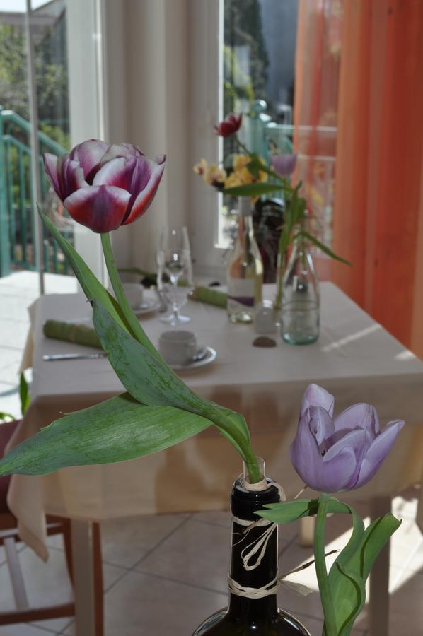 Hotel Haus Kranixfeld-Fischl Mörbisch am See Zewnętrze zdjęcie